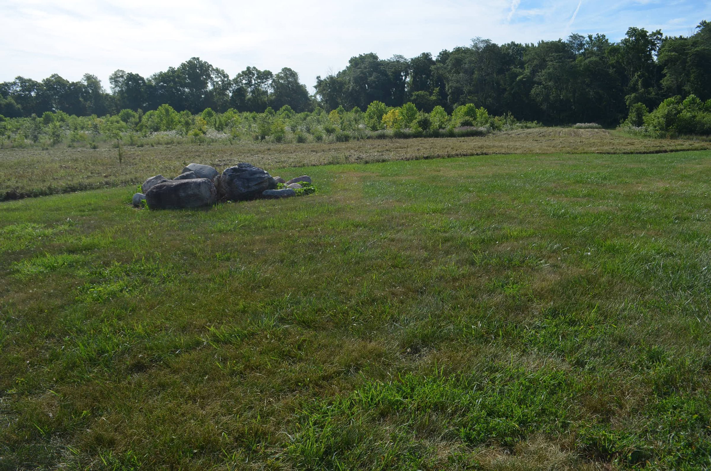 Property photo 39 - REAL ESTATE AUCTION - 26+/- ACRES IN 3 TRACTS IN SOUTHWEST ALLEN COUNTY, INDIANA